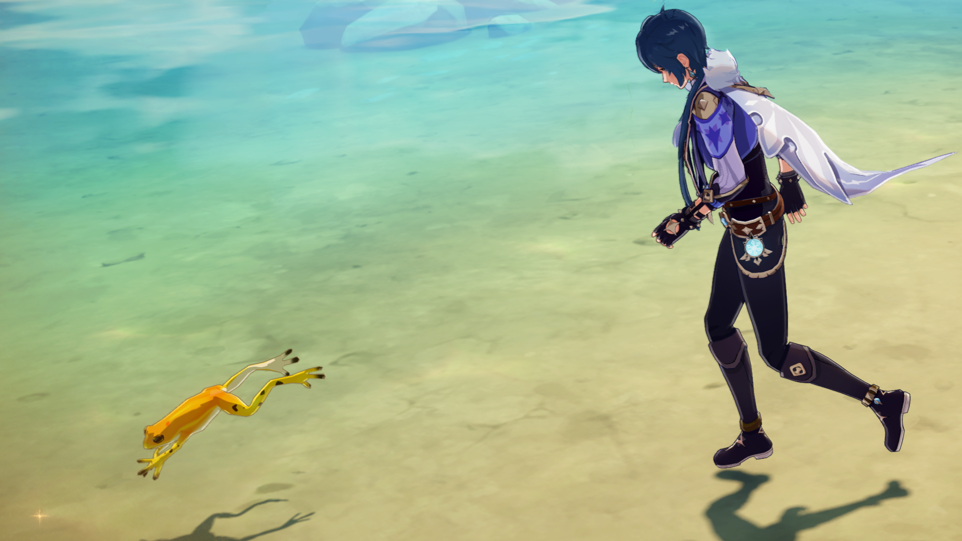 Genshin Impact Frogs locations and where to find frogs explained